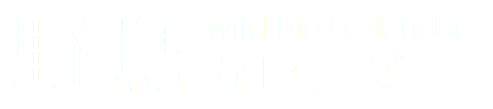 野鳥カレンダー